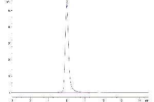Size-exclusion chromatography-High Pressure Liquid Chromatography (SEC-HPLC) image for CD24 Molecule (CD24) (AA 27-59) protein (Fc Tag) (ABIN7274111)
