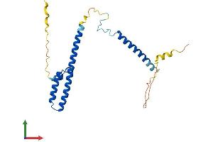 Protein Structure (PS) image for Rab Interacting Lysosomal Protein-Like 2 (RILPL2) (AA 1-211) protein (His tag) (ABIN7551423)