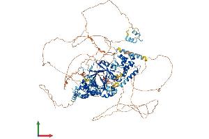 AlphaFold protein structure predicition of Mouse Recombinant Jarid2 Protein, UniprotID Q62315