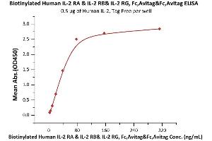 Immobilized Human IL-2, Tag Free (ABIN6386425,ABIN6388245) at 5 μg/mL (100 μL/well) can bind Biotinylated Human IL-2 RA & IL-2 RB& IL-2 RG, Fc,Avitag&Fc,Avitag with a linear range of 2-78 ng/mL (QC tested).