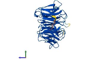 AlphaFold protein structure predicition of Human Recombinant PEX7 Protein, UniprotID O00628