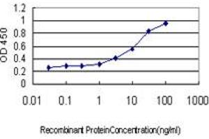 Detection limit for recombinant GST tagged FZD5 is approximately 0. (FZD5 antibody  (AA 72-161))