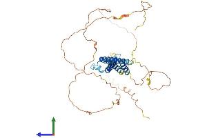 AlphaFold protein structure predicition of Mouse Recombinant Bhlhe41 Protein, UniprotID Q99PV5 (BHLHE41 Protein (AA 1-410) (His tag))