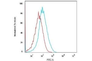Flow Cytometry (FACS) image for anti-Cadherin-16 (CDH16) antibody (ABIN6939021)