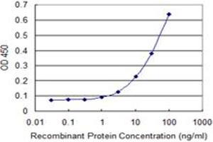Detection limit for recombinant GST tagged ZNF238 is 1 ng/ml as a capture antibody. (ZNF238 antibody  (AA 182-281))
