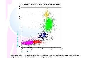 Image no. 1 for anti-Integrin alpha M (ITGAM) antibody (PE) (ABIN1112047) (CD11b antibody  (PE))