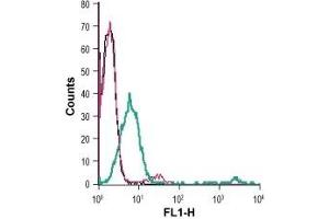 Cell surface detection of Zinc transporter ZIP8 in live intact human Jurkat T-cell leukemia cells: (black line) Cells. (SLC39A8 antibody  (2nd Extracellular Loop) (FITC))
