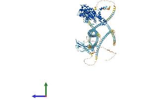 AlphaFold protein structure predicition of Mouse Recombinant Rock2 Protein, UniprotID P70336 (ROCK2 Protein (AA 1-1388) (His tag))