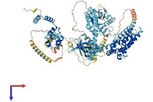 AlphaFold protein structure predicition of Human Recombinant ECT2L Protein, UniprotID Q008S8 (ECT2L Protein (AA 1-904) (His tag))
