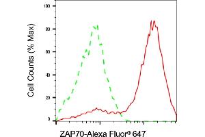 Flow cytometric analysis of ZAP70 expression in Jurkat cells using ZAP70 antibody (ABIN7800889), 1:2,000). (Recombinant ZAP70 antibody)