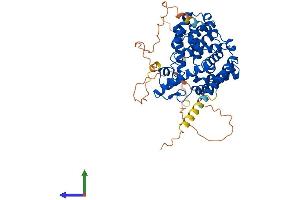 AlphaFold protein structure predicition of Human Recombinant PDE7A Protein, UniprotID Q13946 (PDE7A Protein (AA 1-482) (His tag))