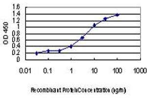 Detection limit for recombinant GST tagged CDKL1 is approximately 0. (CDKL1 antibody  (AA 259-358))