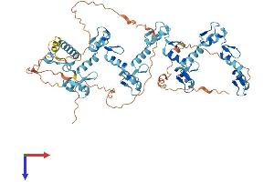 AlphaFold protein structure predicition of Human Recombinant ZNF805 Protein, UniprotID Q5CZA5