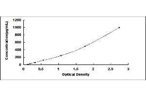 Typical standard curve