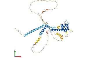 AlphaFold protein structure predicition of Human Recombinant ABRA Protein, UniprotID Q8N0Z2 (ABRA Protein (AA 1-381) (His tag))