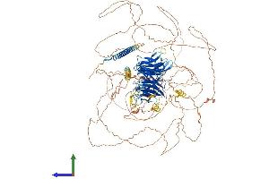 AlphaFold protein structure predicition of Human Recombinant PALB2 Protein, UniprotID Q86YC2 (PALB2 Protein (AA 1-1186) (His tag))