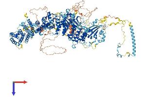 AlphaFold protein structure predicition of Human Recombinant RALGAPB Protein, UniprotID Q86X10 (RALGAPB Protein (AA 1-1494) (His tag))