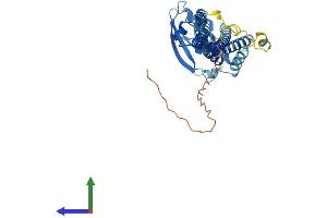 AlphaFold protein structure predicition of Human Recombinant PICK1 Protein, UniprotID Q9NRD5 (PICK1 Protein (AA 1-415) (His tag))