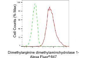 Flow cytometric analysis of Dimethylarginine dimethylaminohydrolase 1 expression in HT- cells using Dimethylarginine dimethylaminohydrolase 1 antibody (ABIN7798342), 1:2,000). (Recombinant DDAH1 antibody)