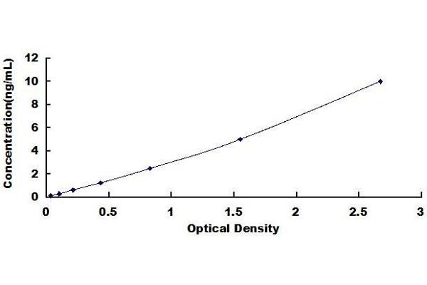 DDOST ELISA Kit
