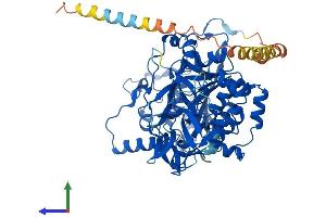 AlphaFold protein structure predicition of Mouse Recombinant Galnt6 Protein, UniprotID Q8C7U7 (GALNT6 Protein (AA 1-622) (His tag))