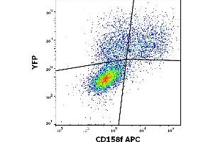 Flow cytometry surface staining pattern of KIR2DL5A (CD158f) transfected HEK-293 cells co-transfected with YFP coding plasmid using anti-human CD158f (UP-R1) APC antibody (10 μL reagent / 100 μL of peripheral whole blood). (KIR2DL5A antibody  (APC))