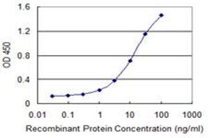 Detection limit for recombinant GST tagged SNX20 is 0. (SNX20 antibody  (AA 47-128))