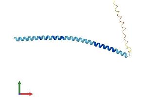 AlphaFold protein structure predicition of Human Recombinant SNCG Protein, UniprotID O76070 (SNCG Protein (AA 1-127) (His tag))