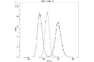 anti-Major Histocompatibility Complex Class I C (HLA-C) (AA 38-62), (C-Term) antibody