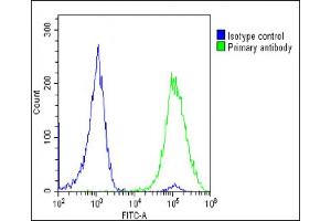 Overlay histogram showing U-2 OS cells stained with (ABIN6244021 and ABIN6578763)(green line). (TK1 antibody  (AA 139-173))