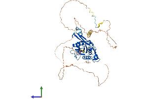 AlphaFold protein structure predicition of Mouse Recombinant Bivm Protein, UniprotID Q8CBX9 (BIVM Protein (AA 1-502) (His tag))