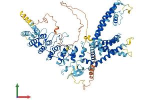 AlphaFold protein structure predicition of Human Recombinant TRPV3 Protein, UniprotID Q8NET8 (TRPV3 Protein (AA 1-790) (His tag))