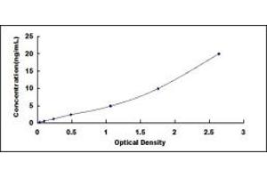 Typical standard curve (DNM2 ELISA Kit)