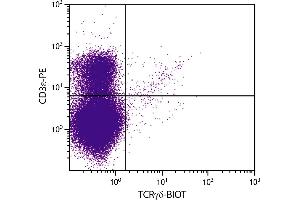 BALB/c mouse thymocytes were stained with Hamster Anti-Mouse TCRγδ-BIOT. (TCRgd antibody (Biotin))