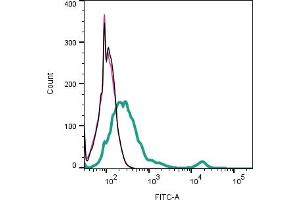 Cell surface detection of CD81 by indirect flow cytometry in live intact mouse  microglia cell line: + goat-anti-rabbit-FITC. (CD81 antibody  (Extracellular))