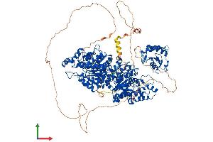 AlphaFold protein structure predicition of Mouse Recombinant Hdac6 Protein, UniprotID Q9Z2V5
