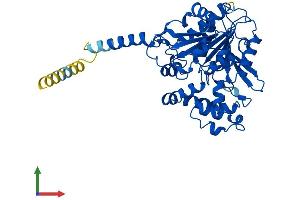 AlphaFold protein structure predicition of Mouse Recombinant Abhd3 Protein, UniprotID Q91ZH7