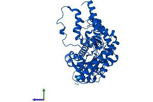 AlphaFold protein structure predicition of Mouse Recombinant Ddc Protein, UniprotID O88533 (DDC Protein (AA 1-480) (His tag))