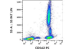 Flow cytometry analysis (surface staining) of human peripheral blood cells with anti-human CD162 (clone TC2) PE. (SELPLG antibody  (PE))