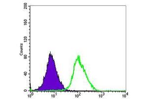 Flow cytometric analysis of Hela cells using ERK3 mouse mAb (green) and negative control (purple). (MAPK6 antibody)