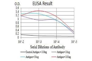 Black line: Control Antigen (100 ng),Purple line: Antigen (10 ng), Blue line: Antigen (50 ng), Red line:Antigen (100 ng) (IFNGR1 antibody  (AA 18-245))
