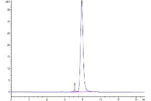 Size-exclusion chromatography-High Pressure Liquid Chromatography (SEC-HPLC) image for Growth Differentiation Factor 15 (GDF15) (AA 197-308) protein (Fc Tag,Biotin) (ABIN7274726)