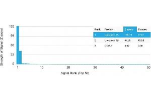 Analysis of Protein Array containing more than 19,000 full-length human proteins using Uroplakin 1A Mouse Monoclonal Antibody (UPK1A/2925) Z- and S- Score: The Z-score represents the strength of a signal that a monoclonal antibody (MAb) (in combination with a fluorescently-tagged anti-IgG secondary antibody) produces when binding to a particular protein on the HuProtTM array. (UPK1A antibody  (AA 114-173))