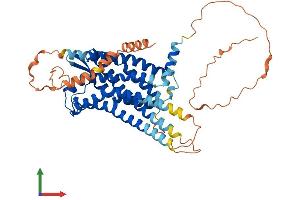 AlphaFold protein structure predicition of Human Recombinant RXFP3 Protein, UniprotID Q9NSD7