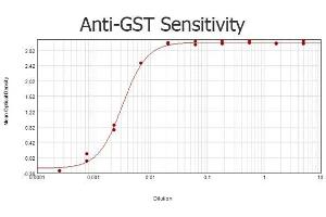 ELISA results of purified Goat anti-GST Antibody Biotin Conjugated tested against purified GST. (GST antibody  (Biotin))