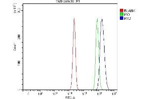 Flow Cytometry analysis of U20S cells using anti-RIT2 antibody (ABIN7599801). (RIT2 antibody  (AA 119-193))