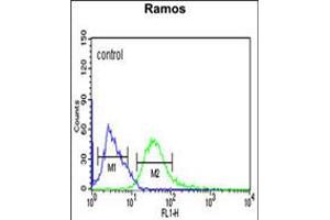 Flow cytometric analysis of Ramos cells (right histogram) compared to a negative control cell (left histogram). (PHGDH antibody  (AA 249-277))