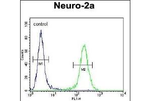 ZDHC2 Antibody (N-term) (ABIN651781 and ABIN2840397) flow cytometric analysis of Neuro-2a cells (right histogram) compared to a negative control (left histogram). (ZDHHC2 antibody  (AA 77-106))