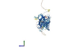 AlphaFold protein structure predicition of Mouse Recombinant Slc26a6 Protein, UniprotID Q8CIW6 (SLC26A6 Protein (AA 1-758) (His tag))