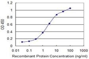 Detection limit for recombinant GST tagged RNF121 is 0. (RNF121 antibody  (AA 193-301))
